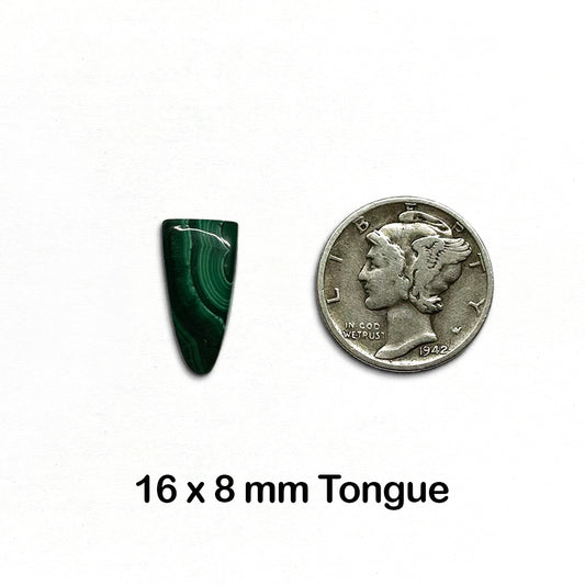 Malachite - Tongue, 16mm x 8mm - 1 piece