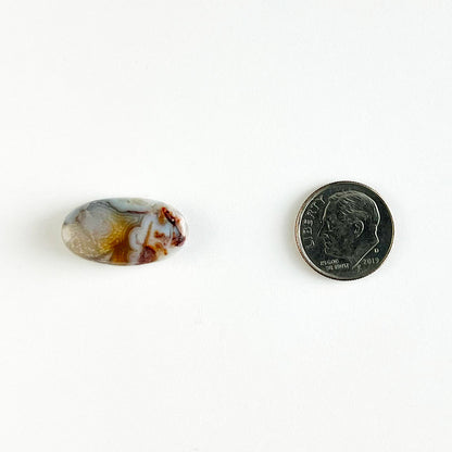 Jessite Cabochon - Oval, 12 x 22